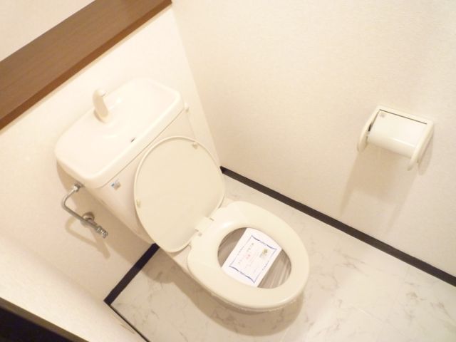 Toilet. It is a toilet with a clean.