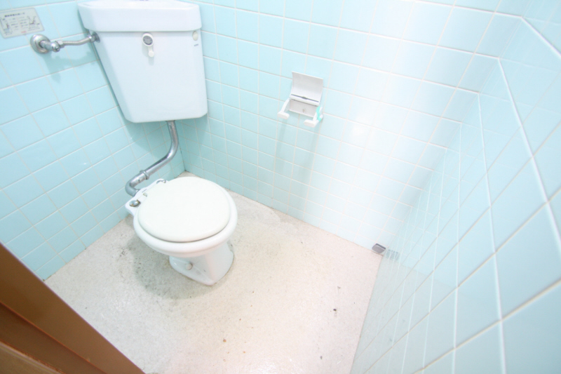 Toilet. Since the color of the walls is light blue will be refreshing feeling
