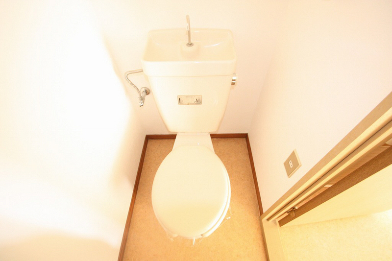 Toilet. Clean toilet.