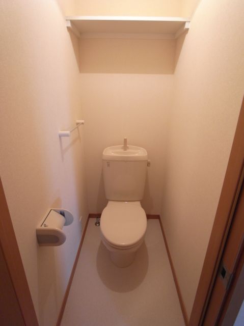 Toilet. It is convenient there is a shelf
