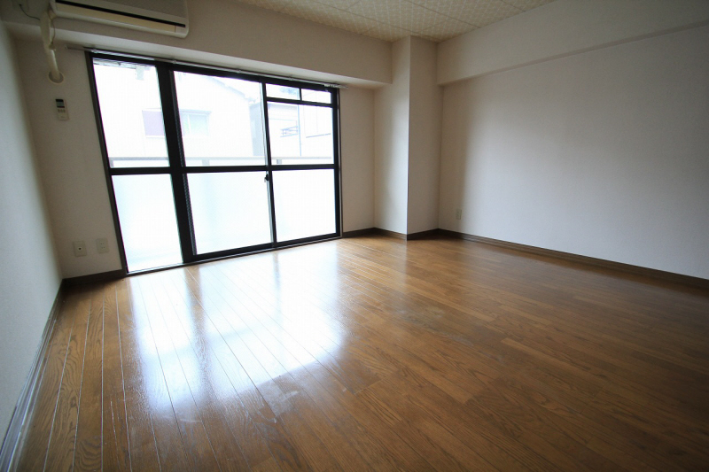 Living and room. Spacious room flooring. (image)