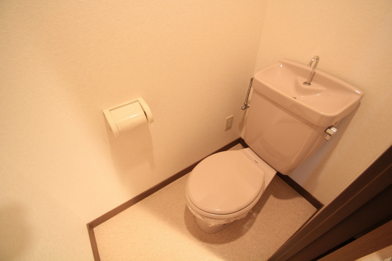 Toilet. It is a toilet with a clean. (image)