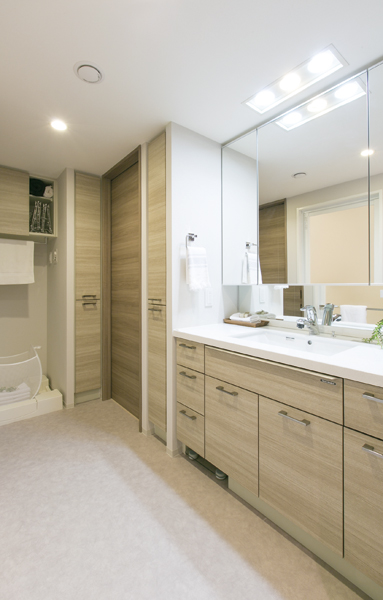 Housed plenty of wash room. Laundry cubes to ensure the location of the pinch with a small hanger. Vanity that specializes in clean that reflects the voice of the questionnaires and roundtable discussions