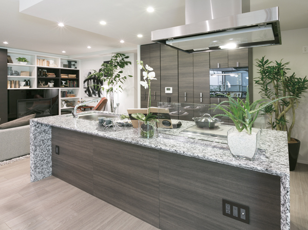 Longing of the Island ・ The kitchen is, Perfect for home party / V-J2 type model room of
