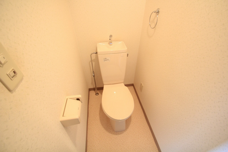 Toilet. Towel rack is attached. 