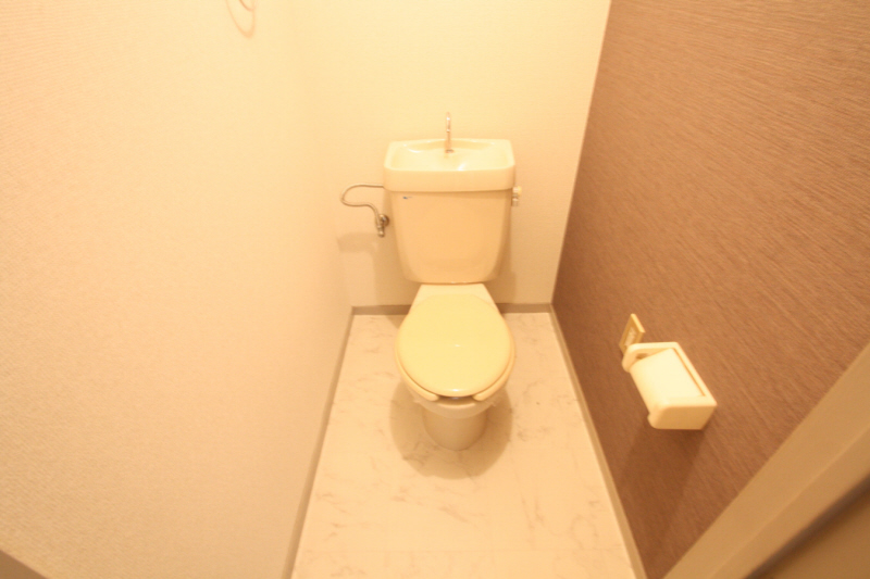 Toilet.  ※ Reference is a picture