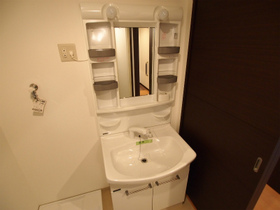 Washroom. Shampoo dresser