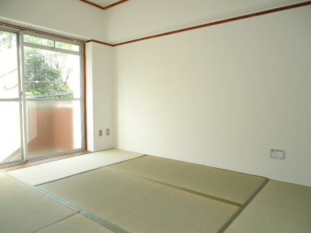 Living and room. Japanese style room