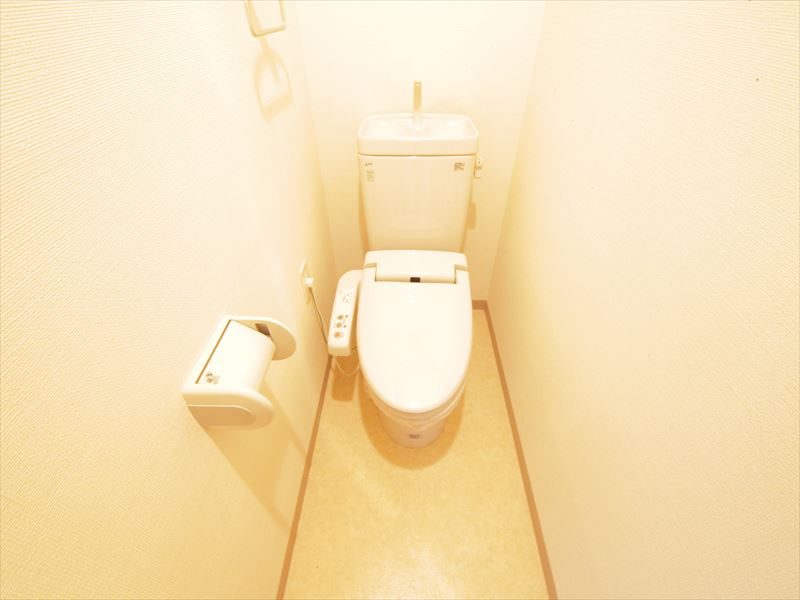 Toilet. With warm water washing toilet seat