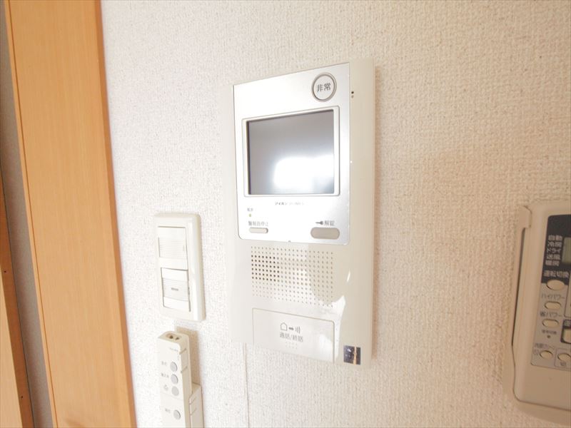 Security. Monitor with intercom