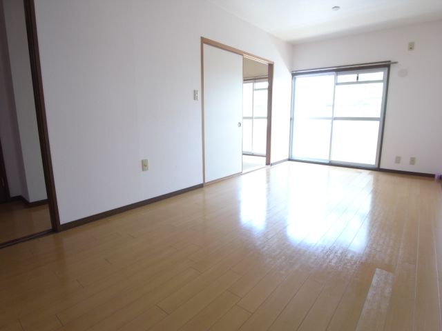 Living and room. Spacious LDK