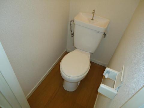 Toilet. WC