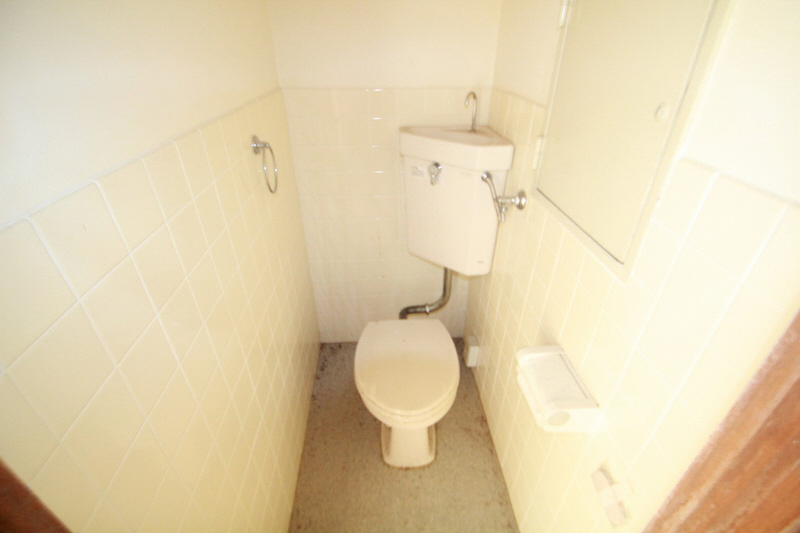 Toilet. It is a toilet with a clean.