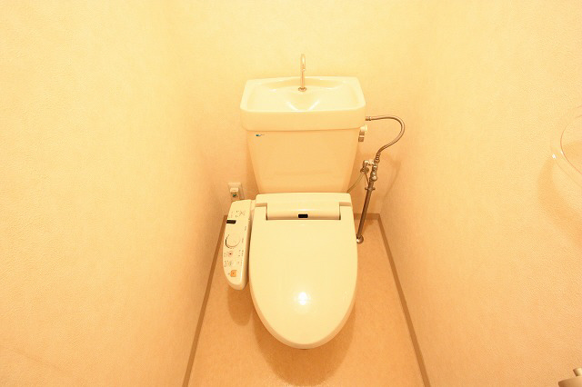 Toilet. With warm water washing toilet seat.