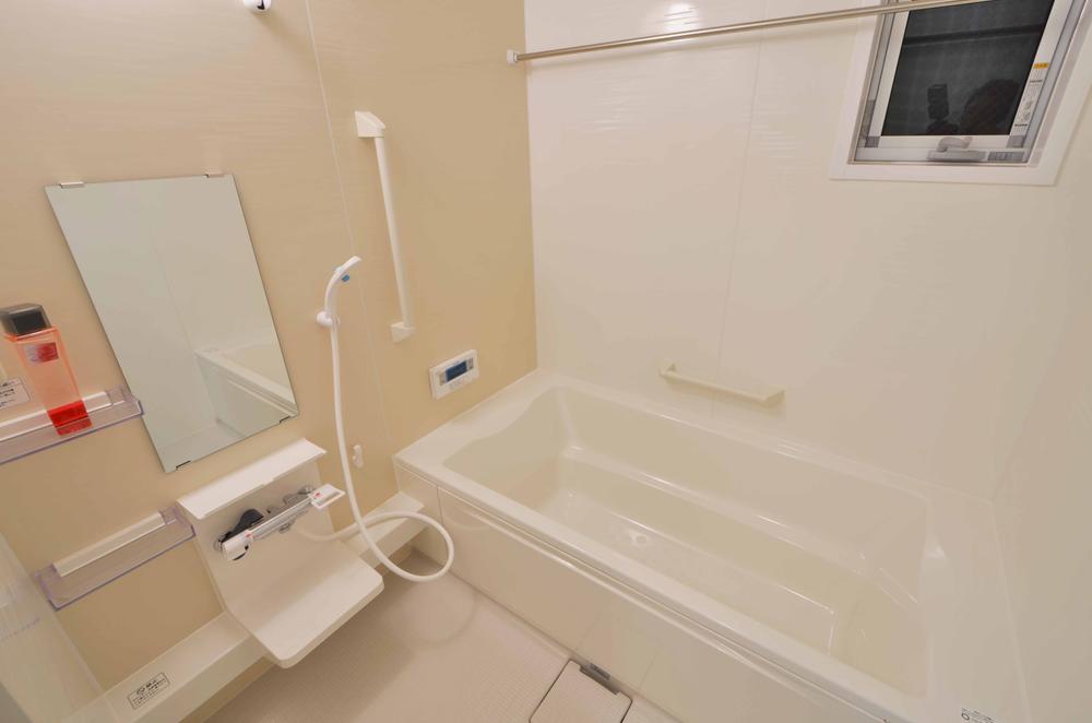 Bathroom. It seems there is a breadth of much put off the foot. Indoor (11 May 2013) Shooting