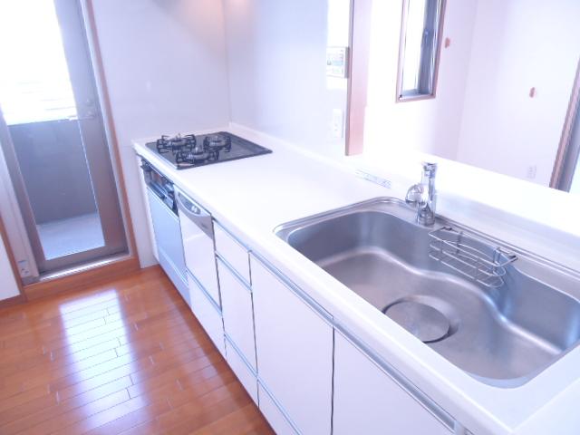 Kitchen. Indoor (11 May 2013) Shooting