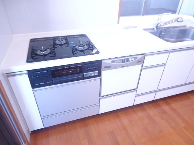 Kitchen. Indoor (11 May 2013) Shooting