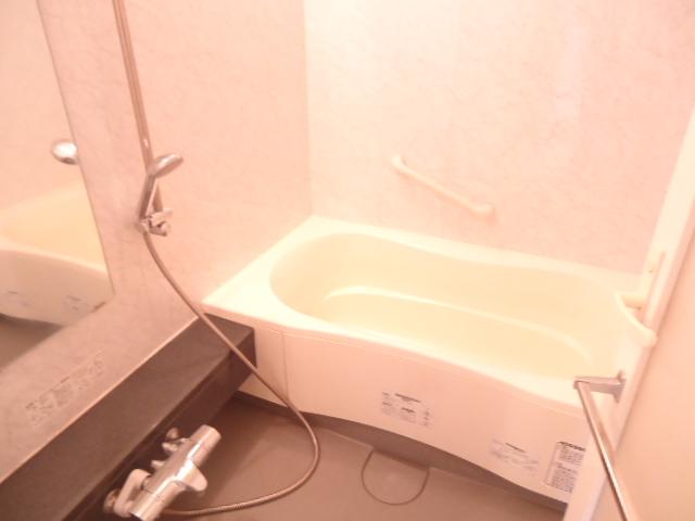 Bathroom. Indoor (11 May 2013) Shooting