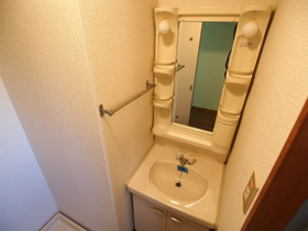 Washroom. Bathroom vanity