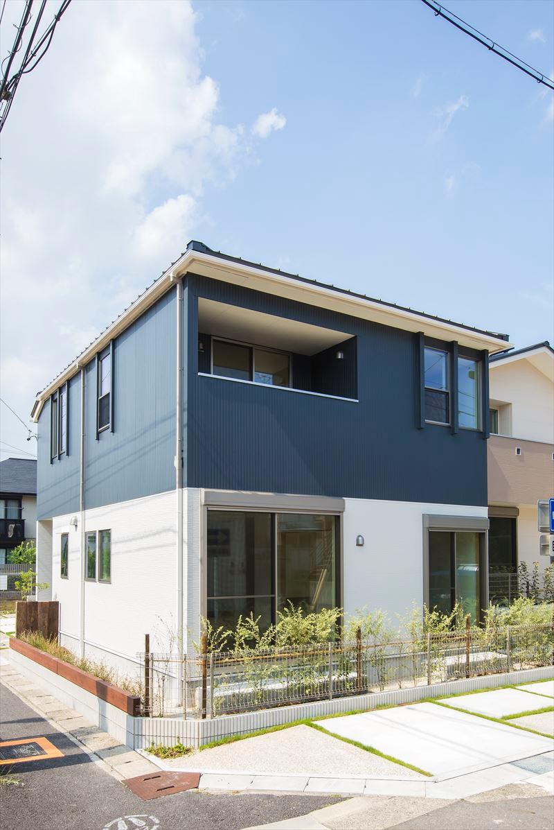 Local appearance photo. B Togaikan