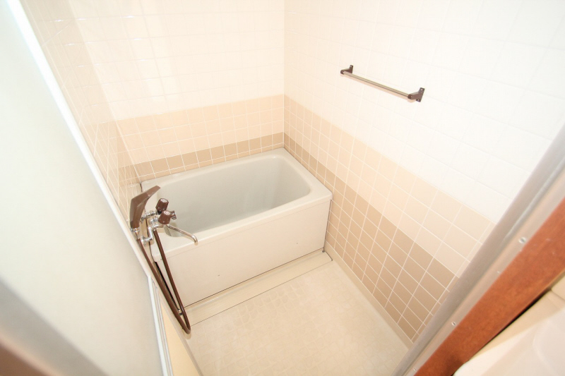 Bath. Three colors of the tiles is a stylish bathroom. 