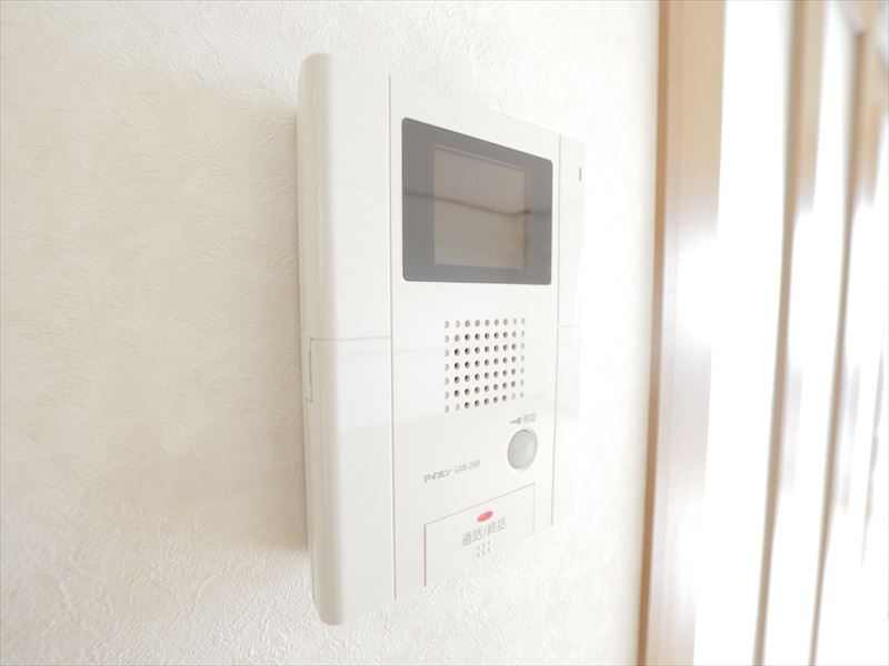 Security. Monitor with intercom