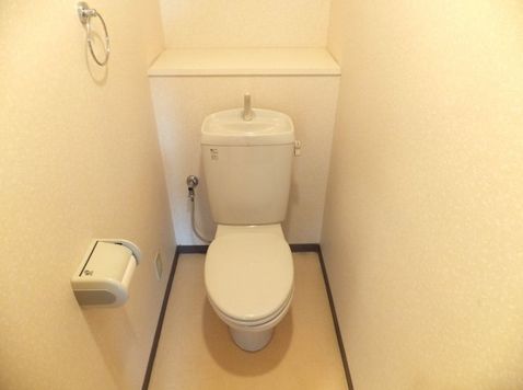 Toilet. Inverted type