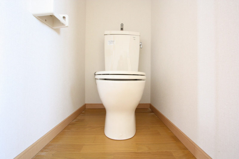 Toilet. It is the restroom.