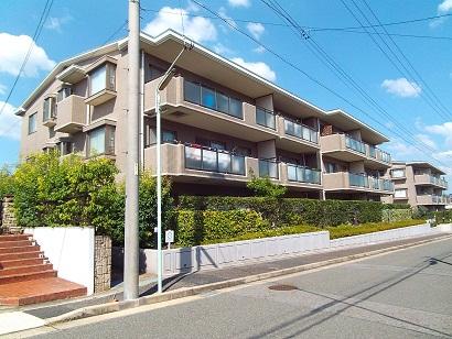 Local appearance photo. Local (September 2013) Shooting