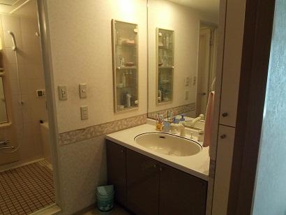 Wash basin, toilet. Indoor (10 May 2013) Shooting