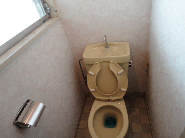 Toilet