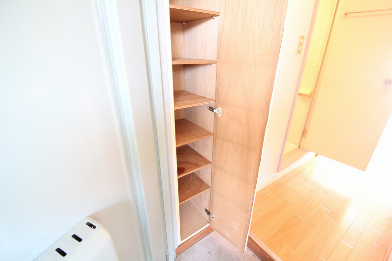 Entrance. There cupboard. (image)