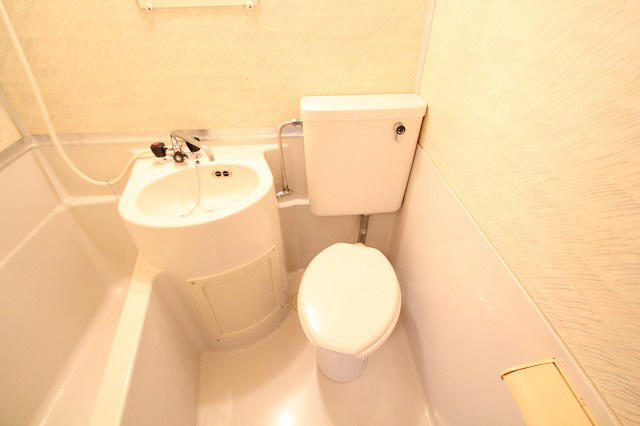 Toilet. It will clean. (image)