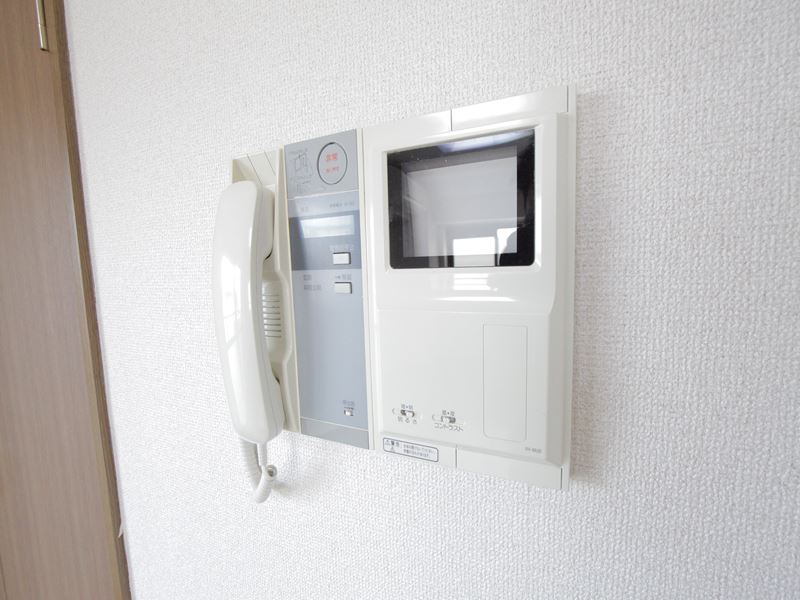 Security. Monitor with intercom