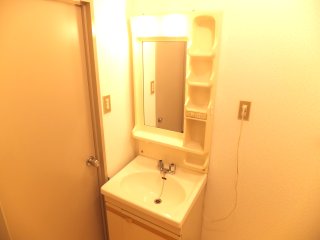 Washroom. Shampoo dresser