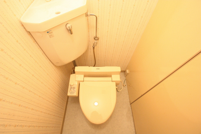 Toilet. It is with warm water washing toilet seat.