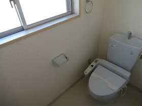 Toilet. Shower toilet
