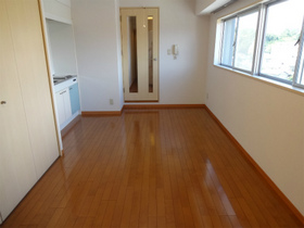 Living and room. Western-style 7 Pledge
