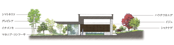 Features of the building.  [Entrance approach] Missing the green approach "his frog". While a sense of volume ・ Designed shared space with Takagi and accent tile. Taking advantage of the nature of the terrain, Shared part plan that nestled the green and light (Rendering Illustration)