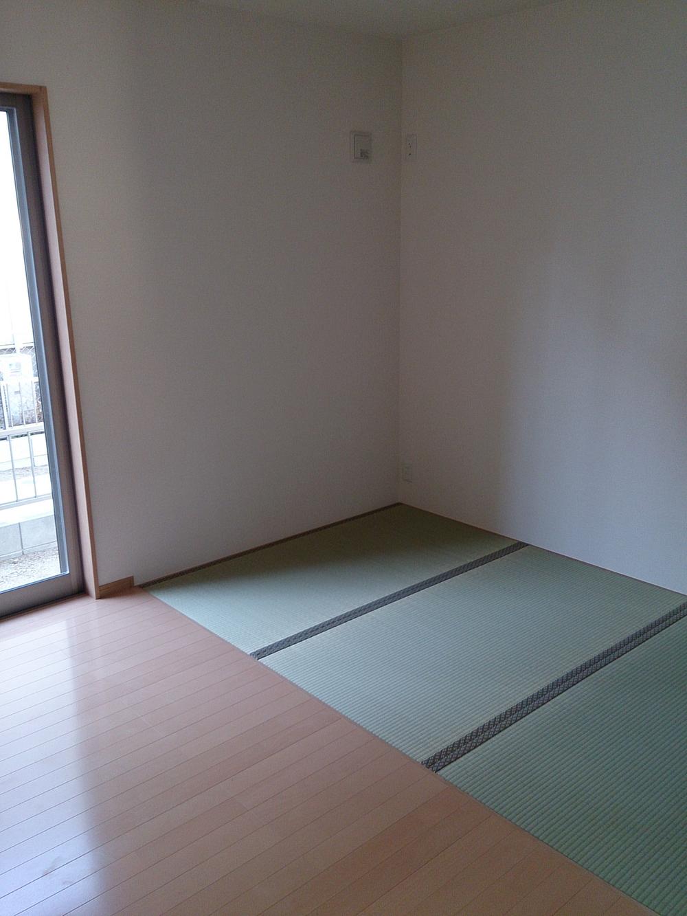 Other introspection. Tatami corner (12 May 2013) Shooting