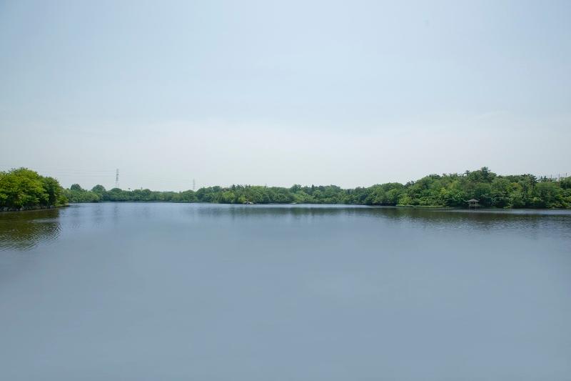Makino pond 1-minute walk
