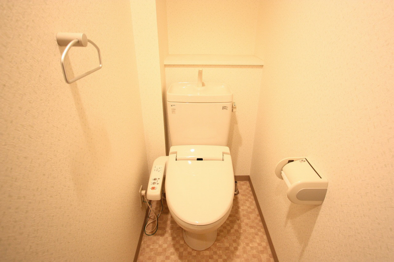 Toilet. It is a toilet with a clean.