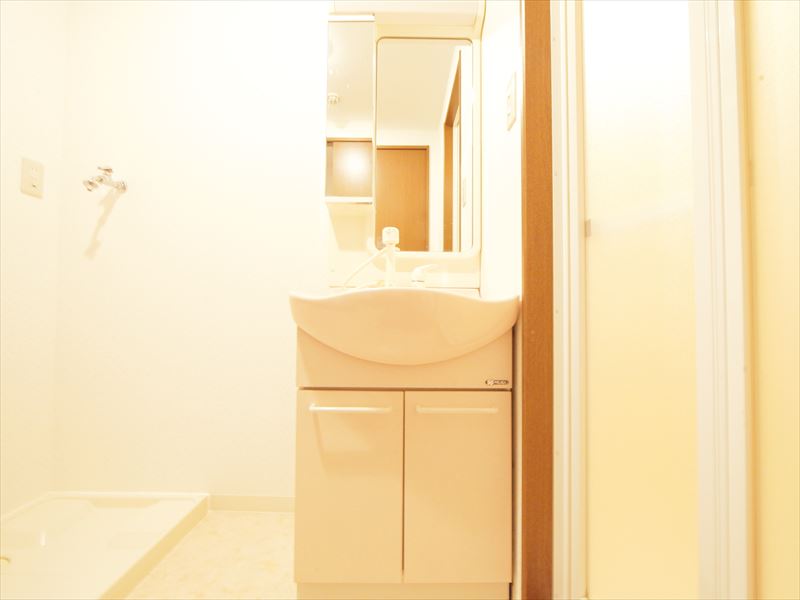 Washroom. Shampoo dresser Dressing room Washing machine in the room