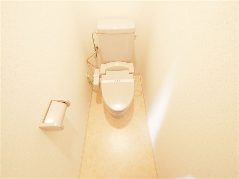 Toilet. With warm water washing toilet seat