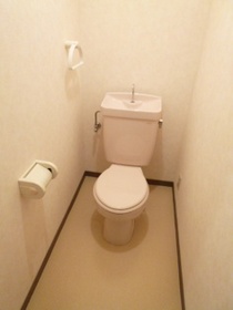 Toilet. Toilet