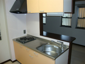 Kitchen. Two-burner stove with! System kitchen! 