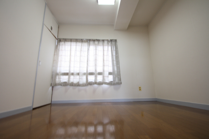 Living and room. (image)