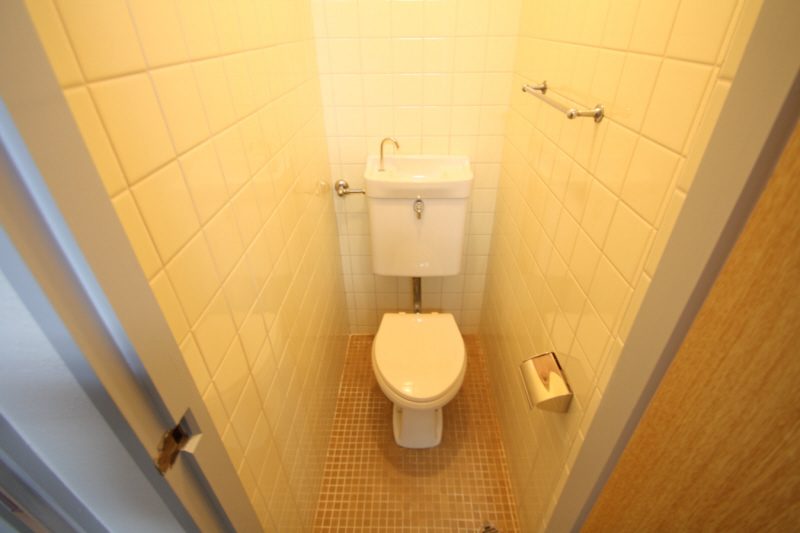 Toilet. (image)