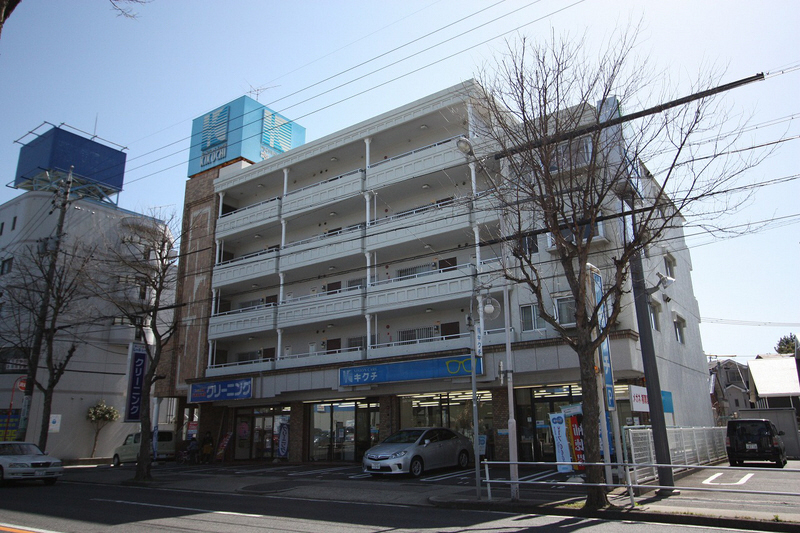 Building appearance. Reinforced concrete five-story.