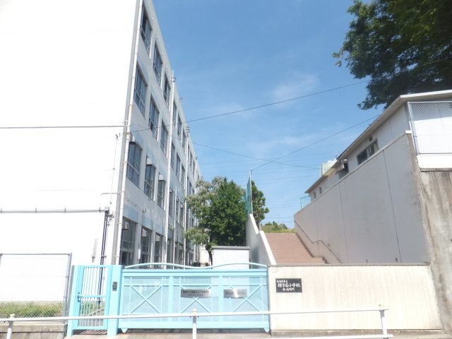 Primary school. 526m to Nagoya Municipal Inokoishi elementary school (elementary school)